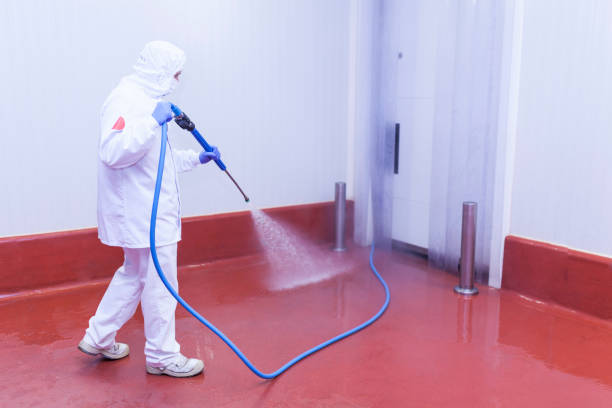 Best Pre-Holiday Cleaning  in National Park, NJ